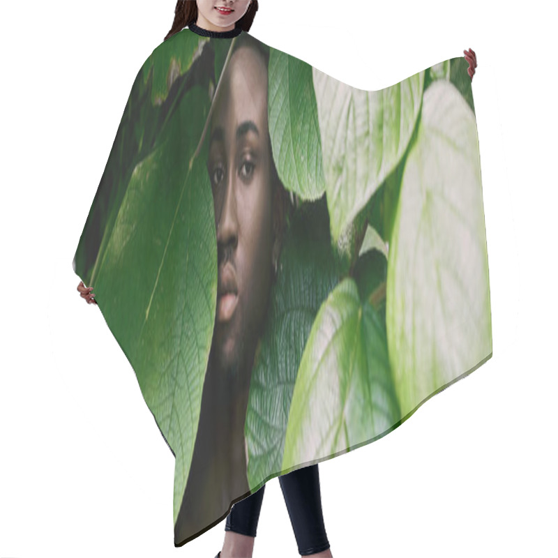 Personality  Handsome Man In Dapper Style Hidden Behind Lush Green Leaves. Hair Cutting Cape