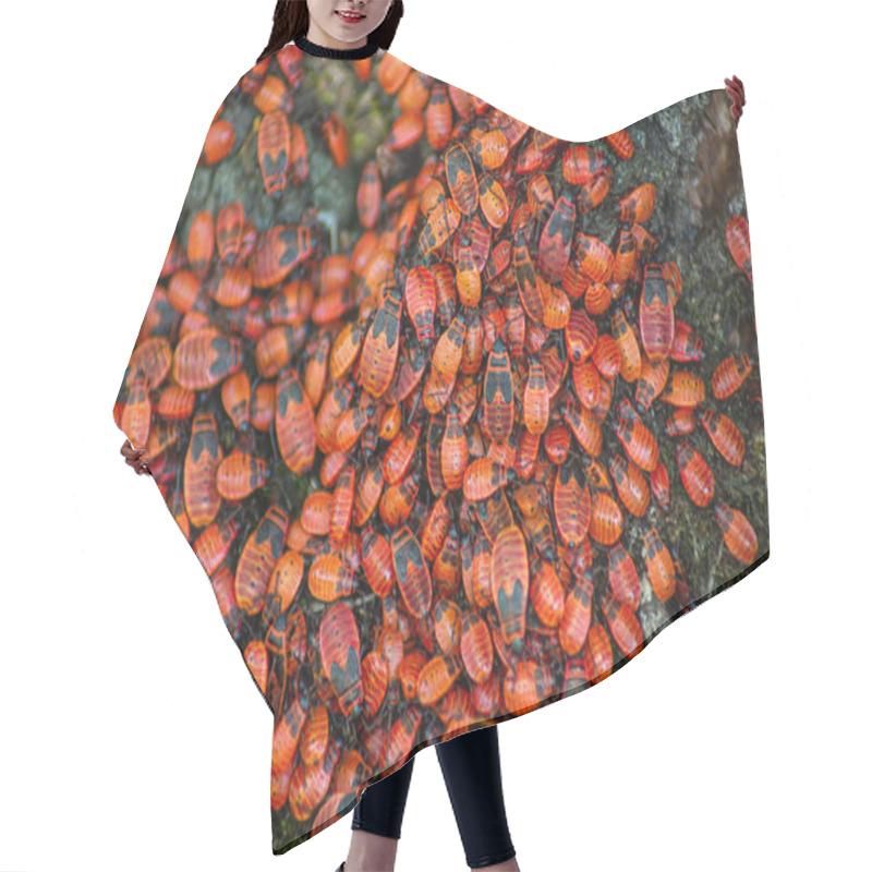 Personality  Bunch Of Red Firebugs On A Tree Trunk Hair Cutting Cape