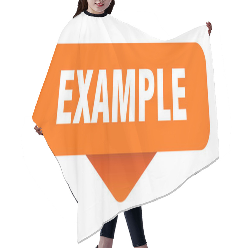 Personality  Example Sticker. Example Sign On Transparent Background. Rectangular Button Hair Cutting Cape