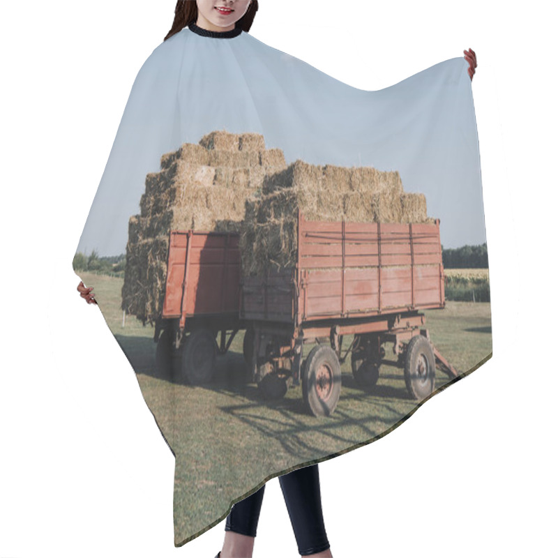 Personality  Rural Scene With Two Hindcarriage Full Of Stacked Hay At Farm In Countryside Hair Cutting Cape