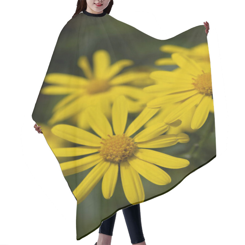 Personality  Bright Yellow Wildflowers In A Lush Natural Setting. A Close-up Of Bright Yellow Wildflowers In Full Bloom, Set Against A Blurred Green Background For A Vibrant And Cheerful Scene. Hair Cutting Cape