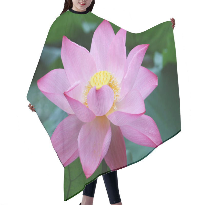 Personality  Blooming Lotus Flower Hair Cutting Cape