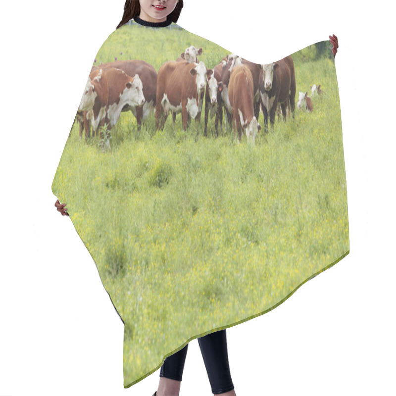 Personality  Cattle Hair Cutting Cape