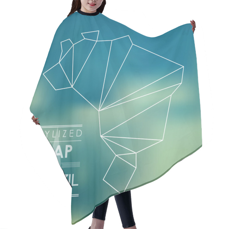 Personality  Stylized Map Of Brazil Hair Cutting Cape