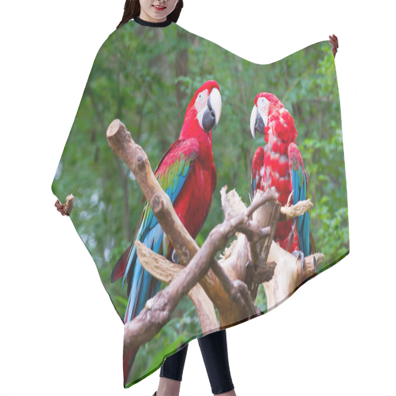 Personality  Red Parrot Birds Hair Cutting Cape