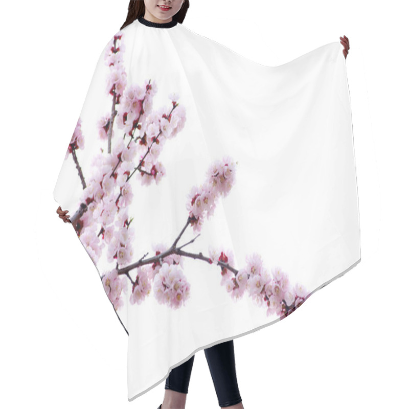 Personality   Pink Blossoms  Hair Cutting Cape