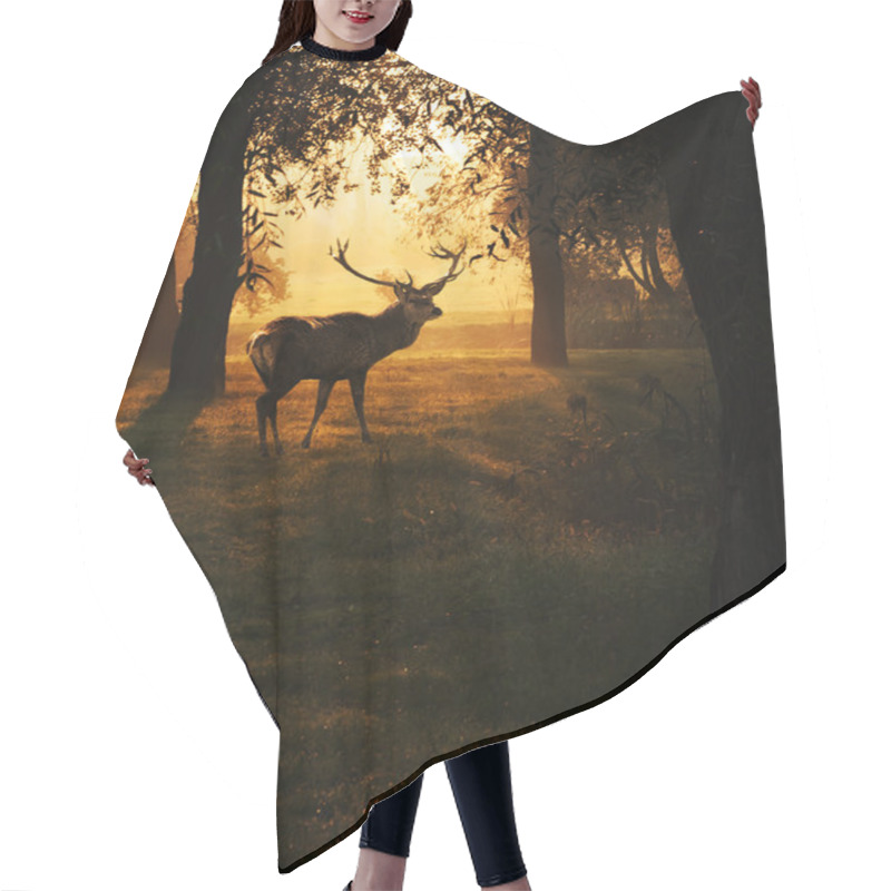 Personality  Deer In Sunset In The Forest Hair Cutting Cape