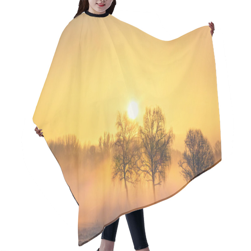 Personality  Winter Sun Hair Cutting Cape