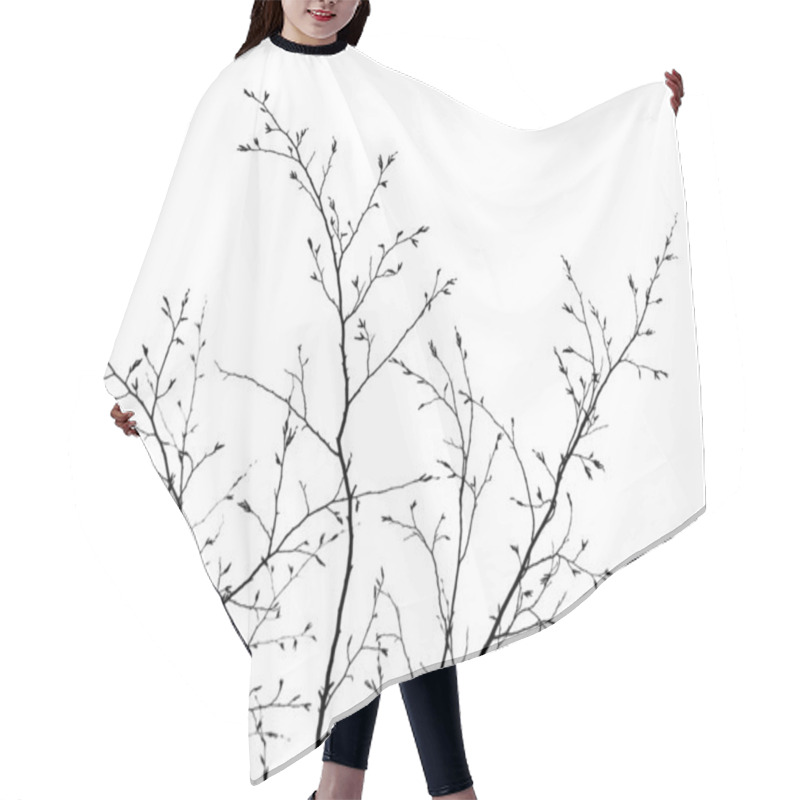 Personality  Branches On The White Background Hair Cutting Cape