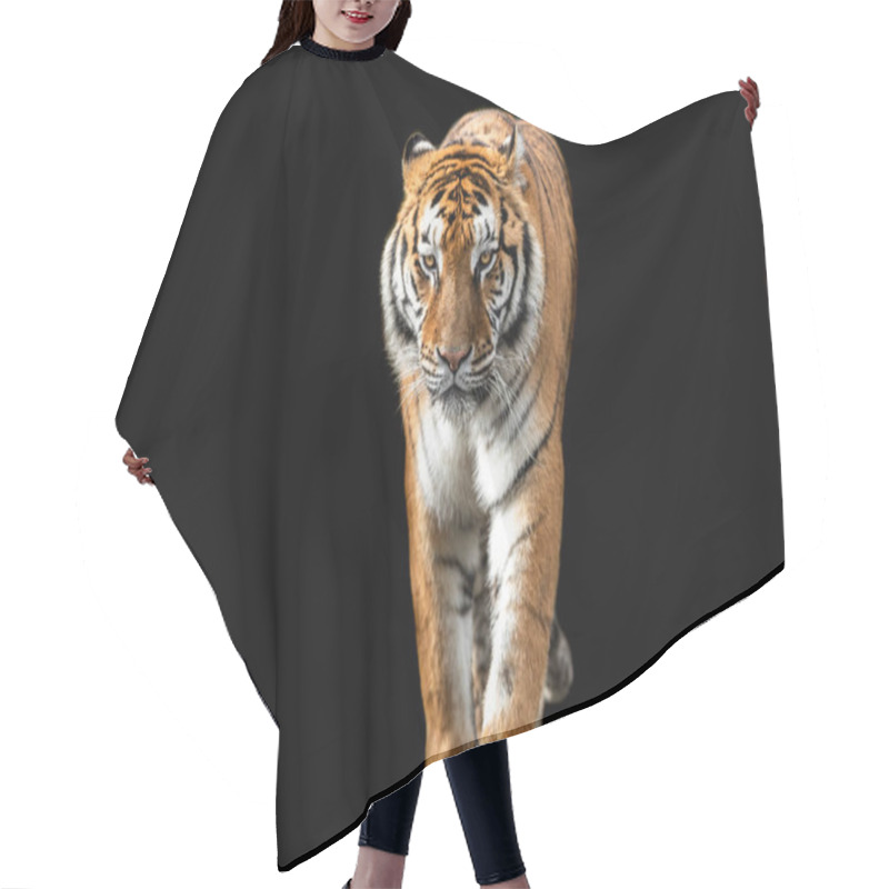 Personality  Tiger With A Black Background Hair Cutting Cape