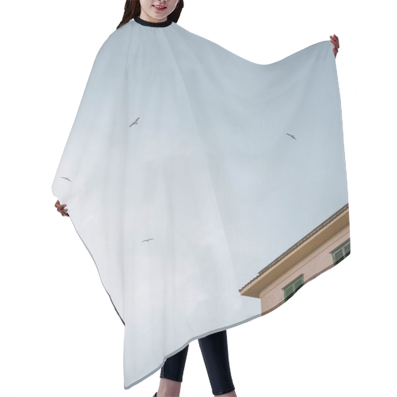 Personality  Seagulls Hair Cutting Cape