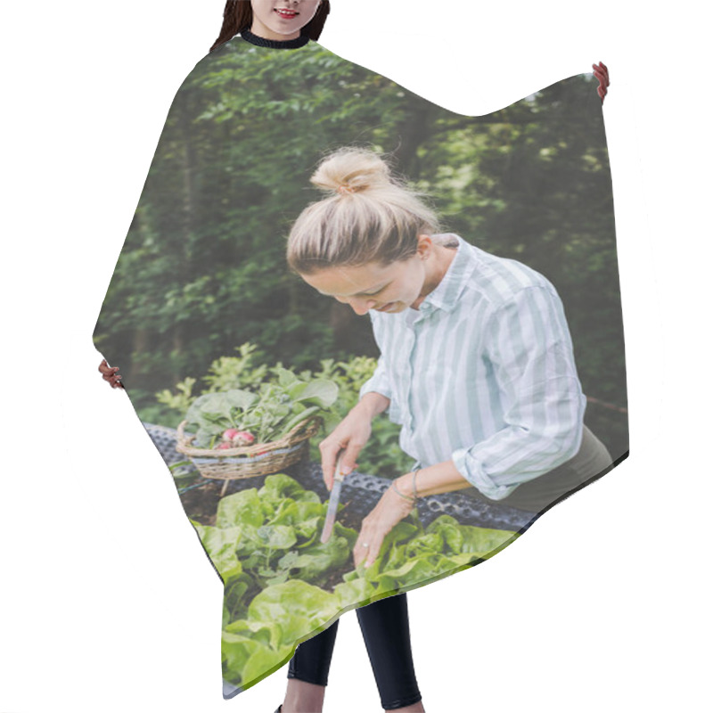 Personality  Young Woman Harvesting Radish From Raised Bed In Garden Hair Cutting Cape