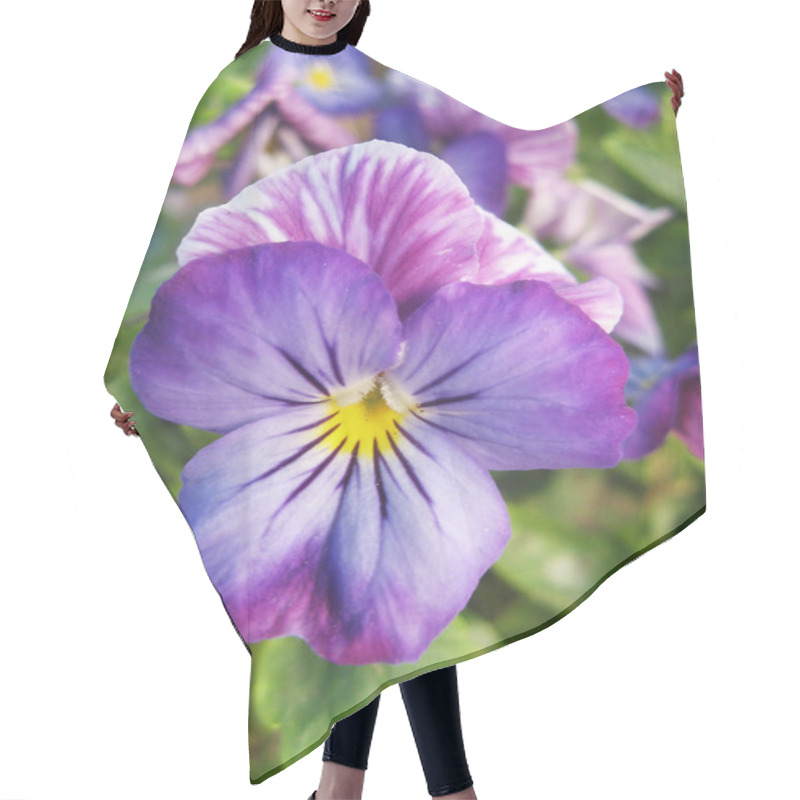 Personality  Pansy Hair Cutting Cape