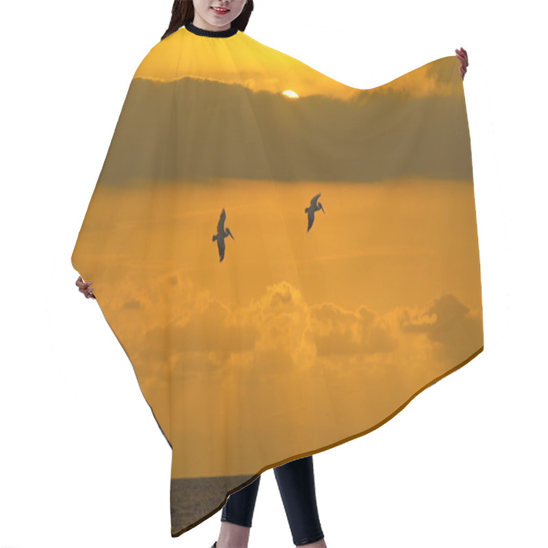 Personality  Freedom Ocean Sunset Sun Rays Birds Of Peace Hair Cutting Cape