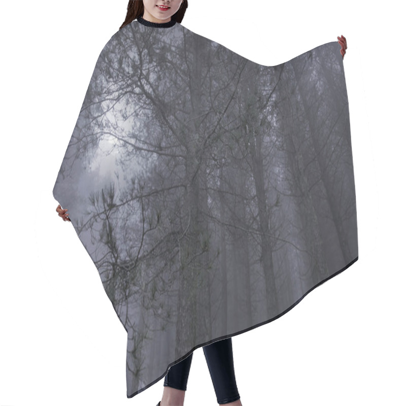 Personality  Mysterious Woods In A Foggy Full Moon Night Hair Cutting Cape