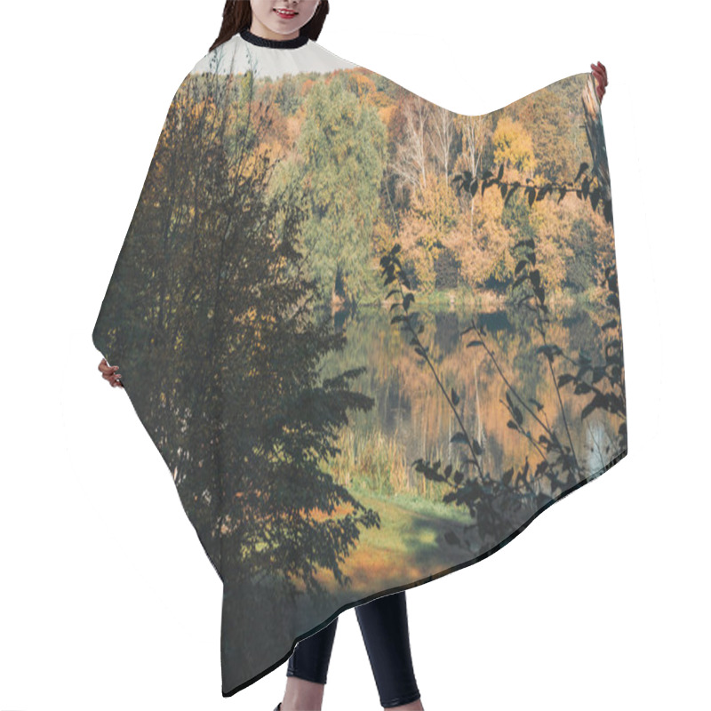 Personality  Sunshine On Lake In Peaceful Autumn Forest  Hair Cutting Cape