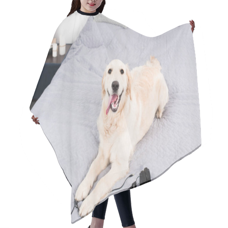 Personality  Dog With Headphones And Digital Tablet Hair Cutting Cape