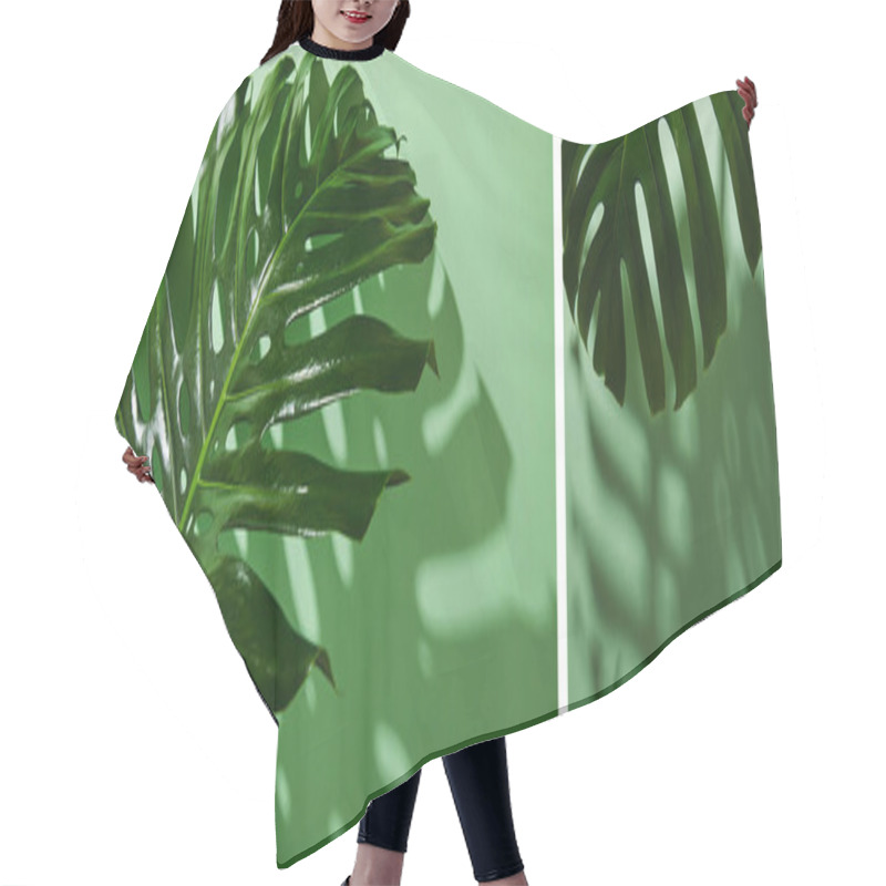 Personality  Collage Of Fresh Tropical Green Leaves On Green Background With Shadow Hair Cutting Cape