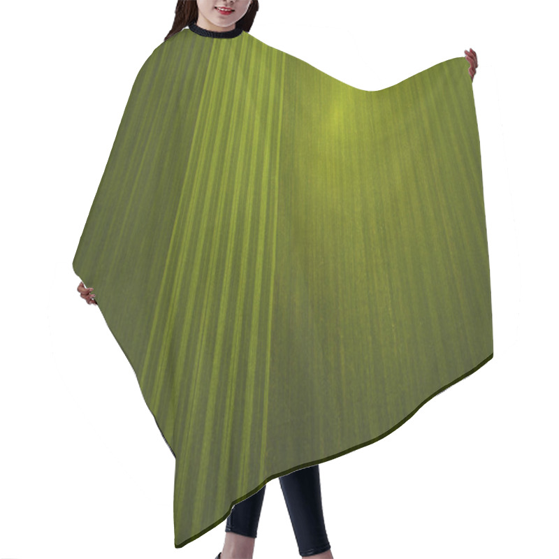 Personality  Aerial View Hair Cutting Cape