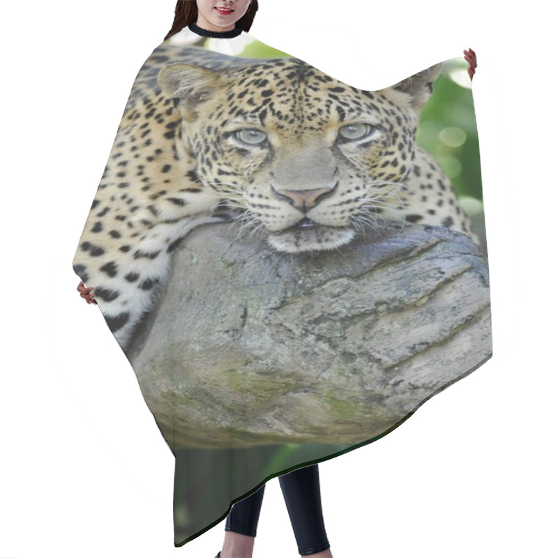 Personality  Leopard Hair Cutting Cape