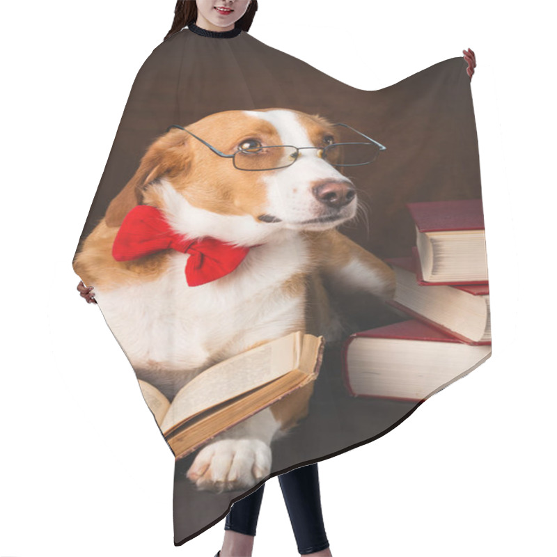 Personality  Cute Mixed Breed Dog Posing As An Intellectual Hair Cutting Cape