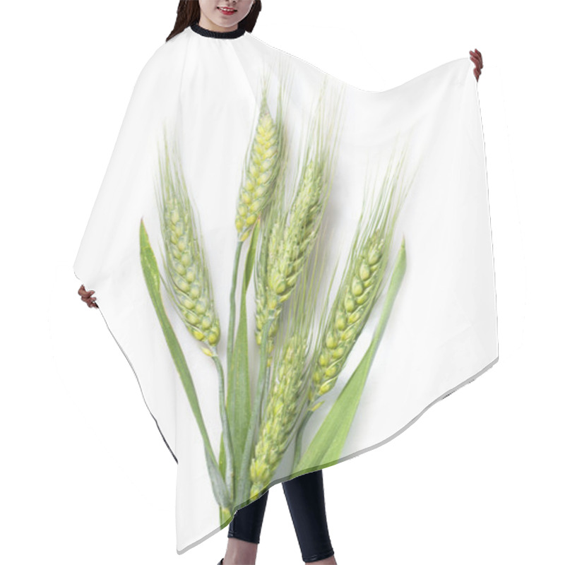 Personality  Green Wheat Isolated On White Hair Cutting Cape