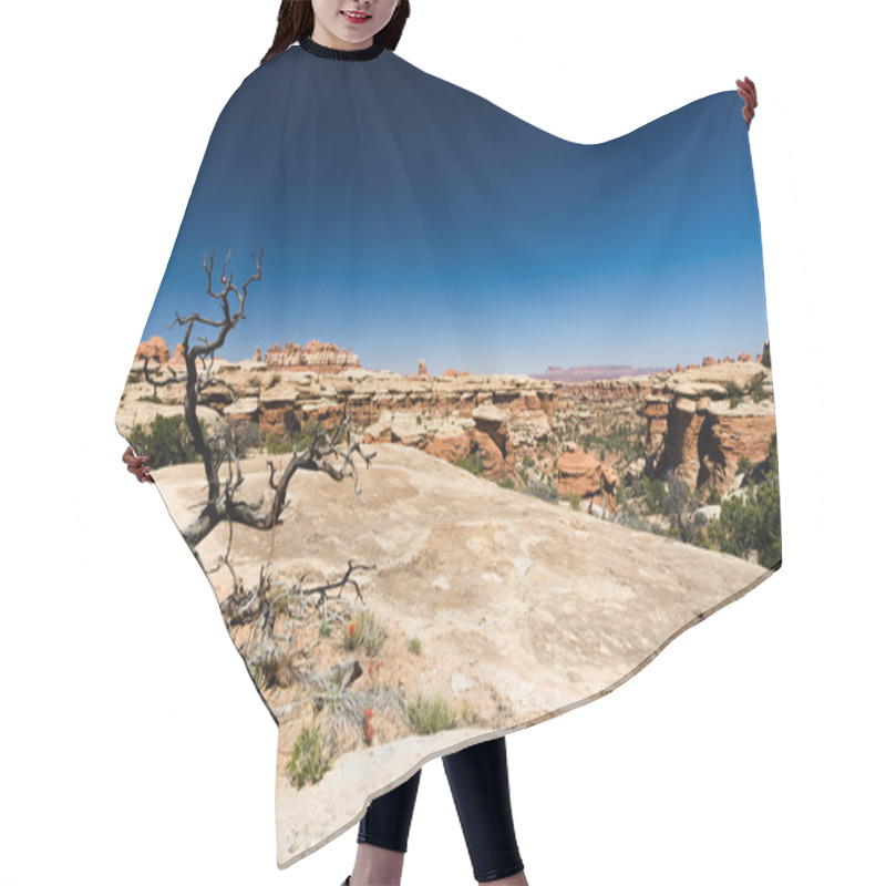 Personality  Desert Landscape Hair Cutting Cape