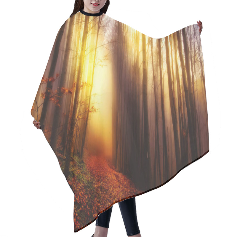 Personality  Mystical Lights In The Forest Hair Cutting Cape