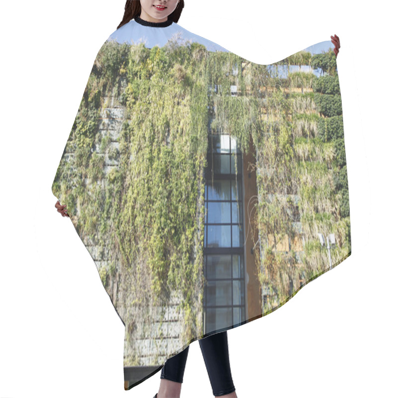 Personality  Green Wall In An Ecologic Building Hair Cutting Cape