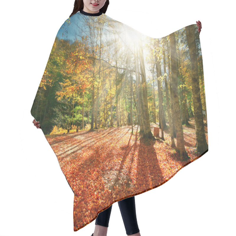 Personality  Two Tents In The Autumn Forest Hair Cutting Cape