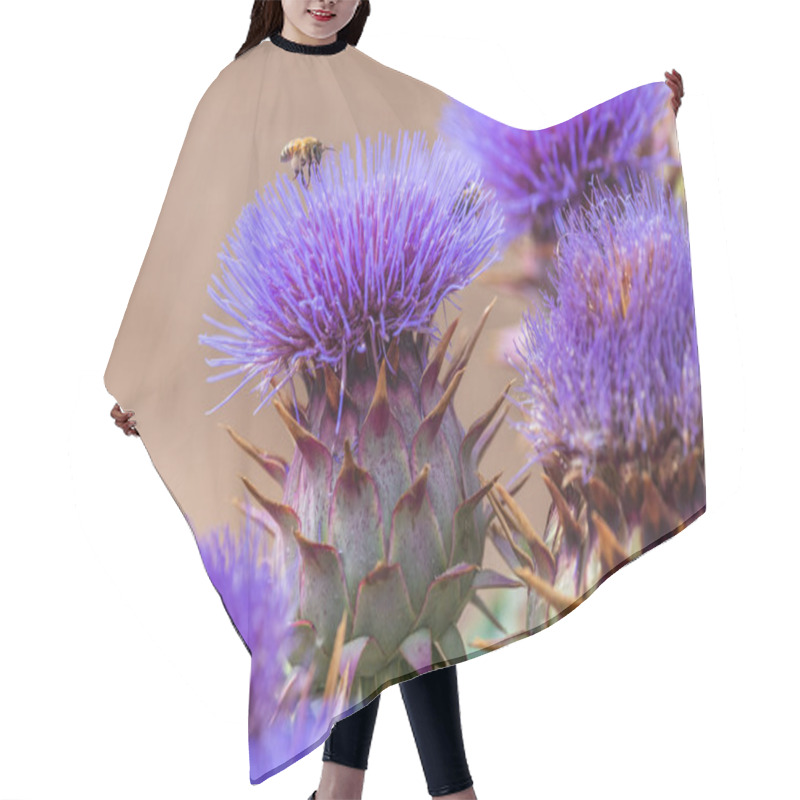 Personality  Close-up Image Of Blooming Purple Cactus Flowers With A Honeybee Collecting Nectar. Hair Cutting Cape