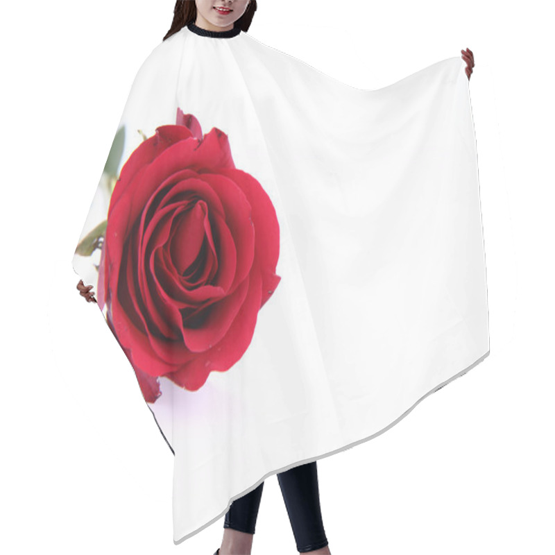 Personality  Red Rose Hair Cutting Cape