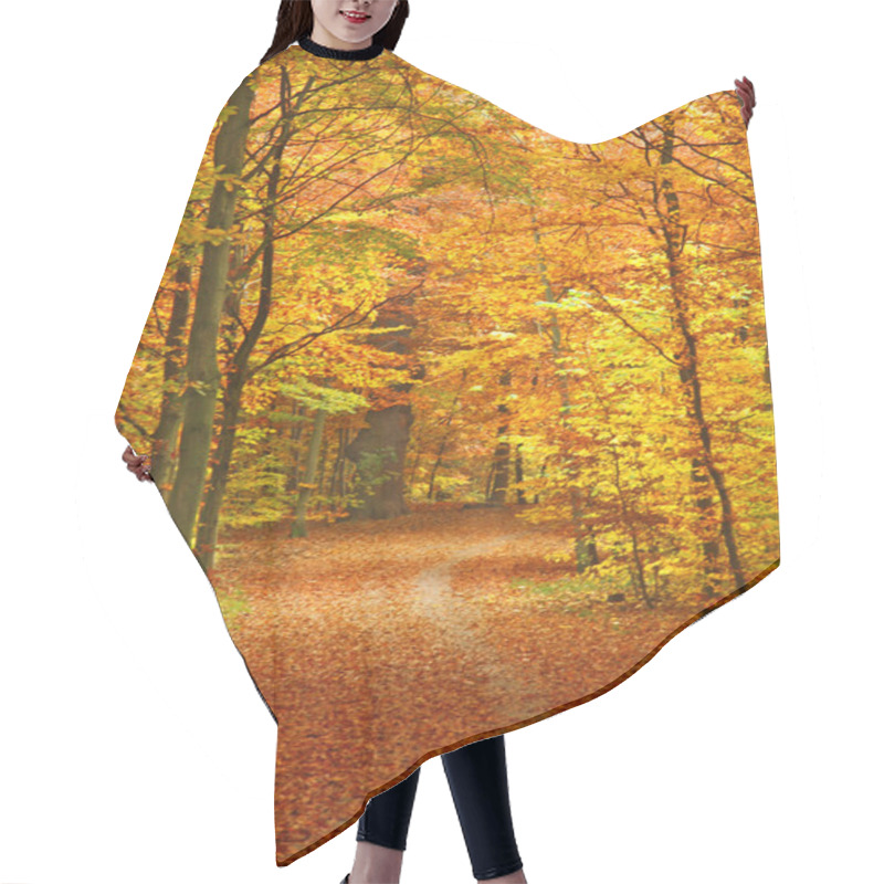 Personality  Pathway Through The Autumn Park Hair Cutting Cape