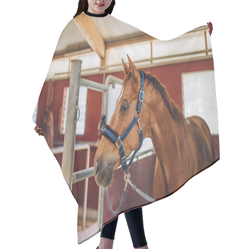 Personality  Brown Horse Hair Cutting Cape