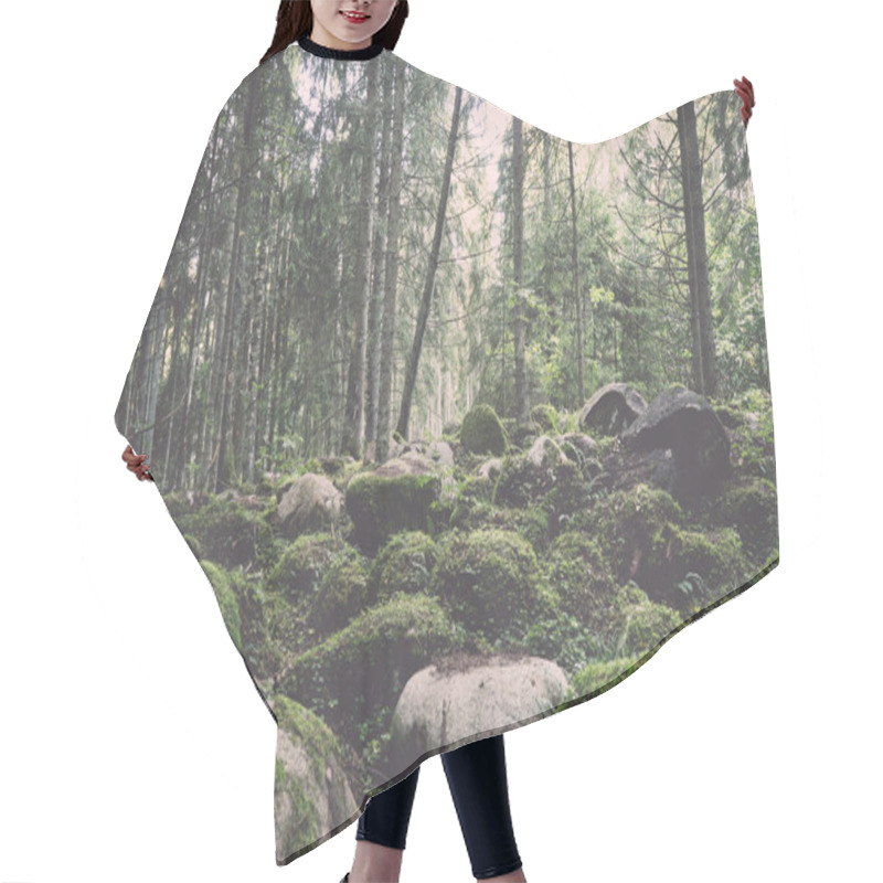 Personality  Old Forest With Moss Covered Trees And Rays Of Sun - Retro, Vint Hair Cutting Cape