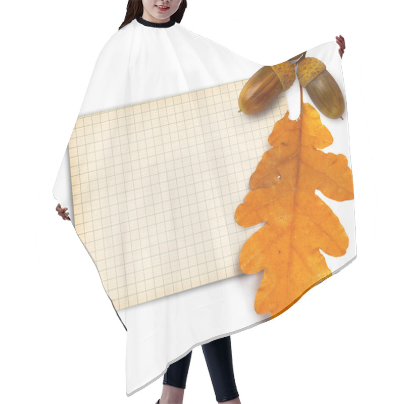 Personality  Old Grunge Paper With Autumn Oak Leaves And Acorns On The White Hair Cutting Cape