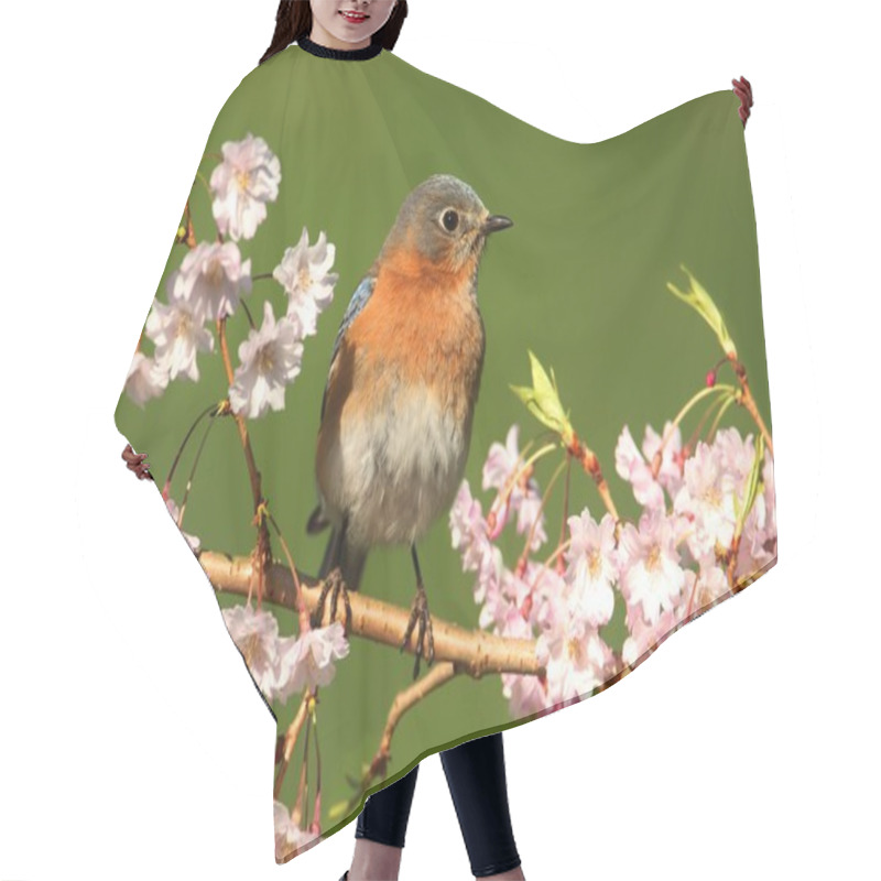 Personality  Eastern Bluebird Hair Cutting Cape