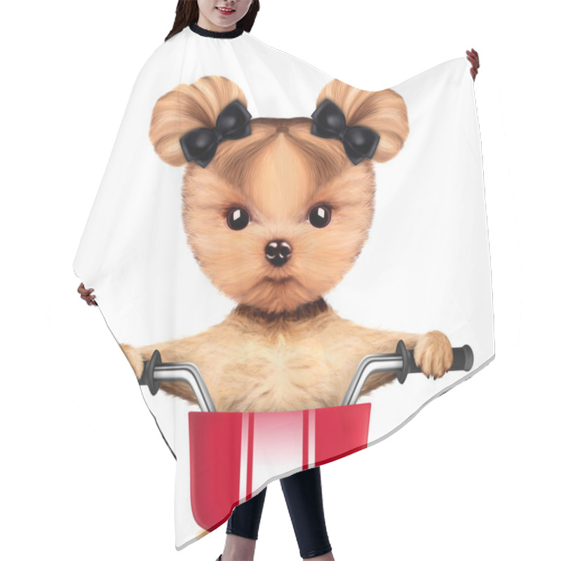 Personality  Adorable Doggy Sitting On A Bicycle With Basket Hair Cutting Cape