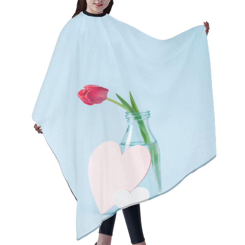 Personality  Red Tulip In Transparent Glass Vase And Paper Hearts On Blue Background Hair Cutting Cape