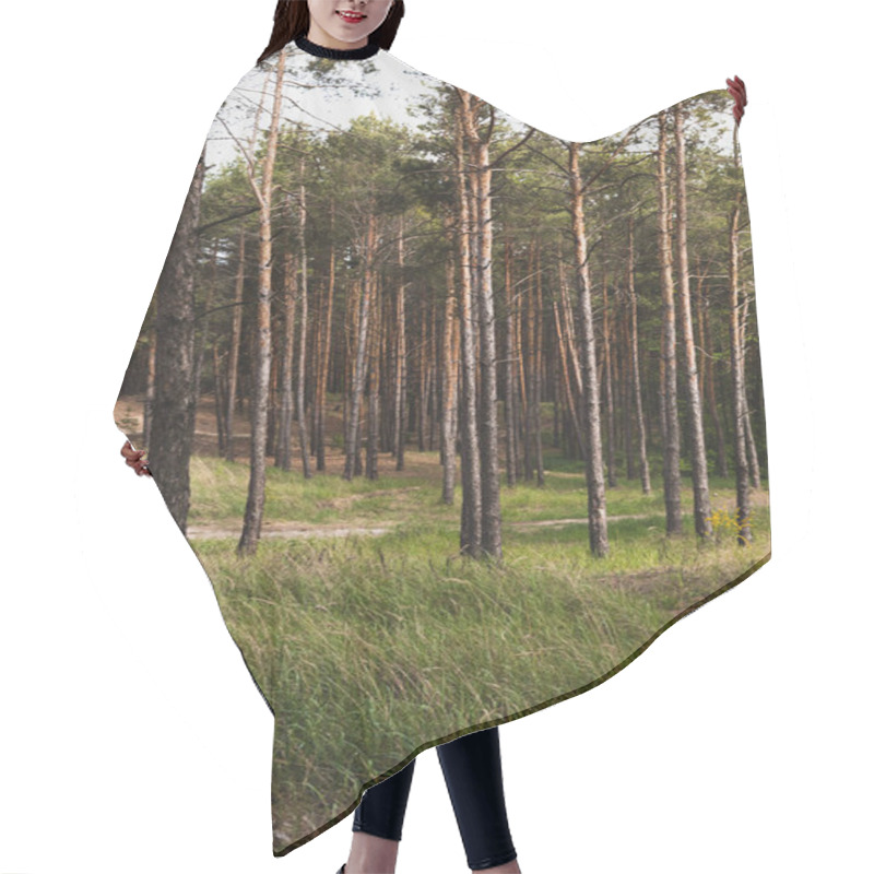 Personality  Green And Fresh Grass Near Trees In Forest  Hair Cutting Cape