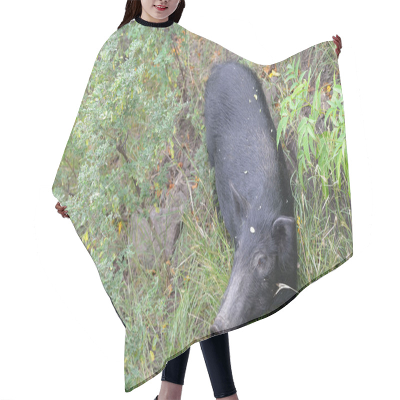 Personality  Wild Boar Hair Cutting Cape