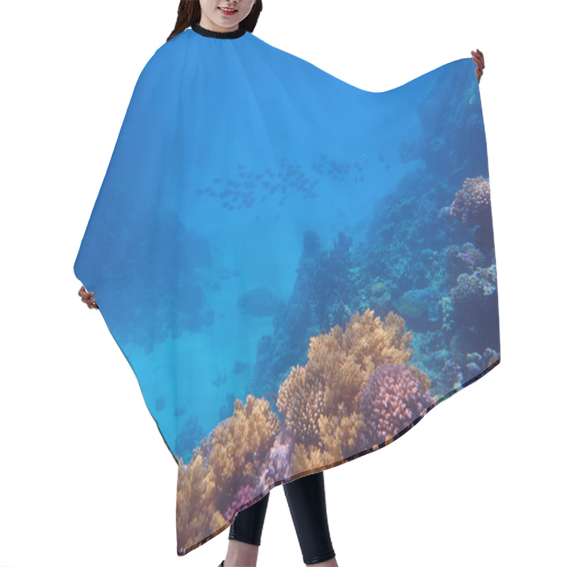 Personality  Tropical Coral Reef Hair Cutting Cape