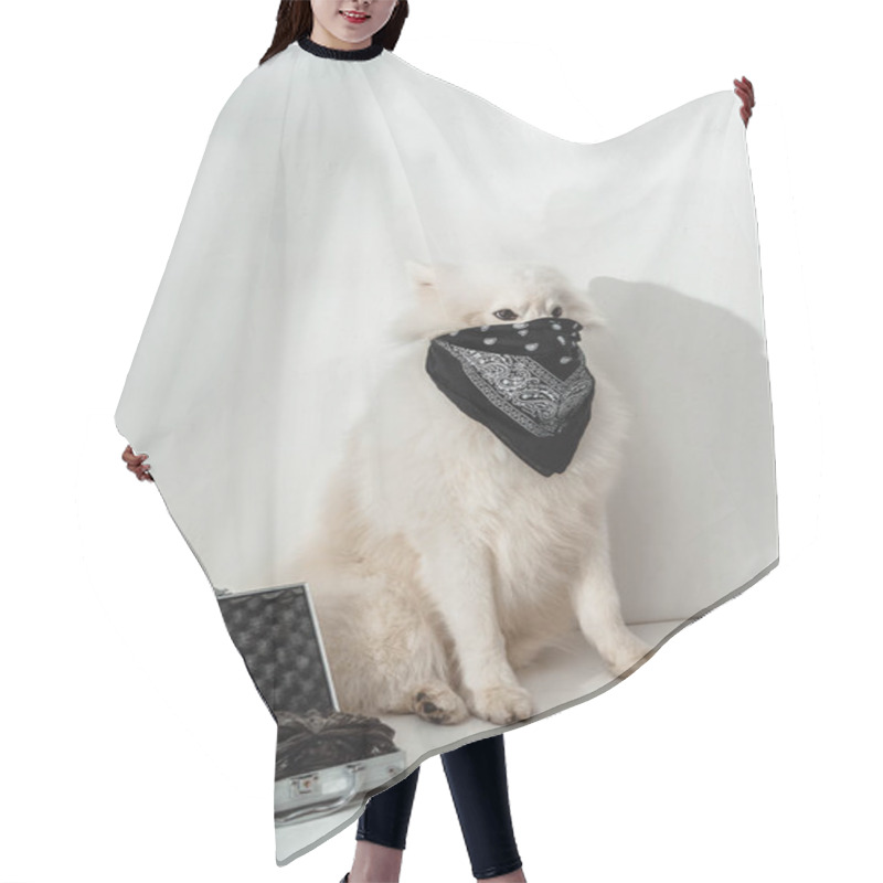 Personality  Dog Thief Hair Cutting Cape