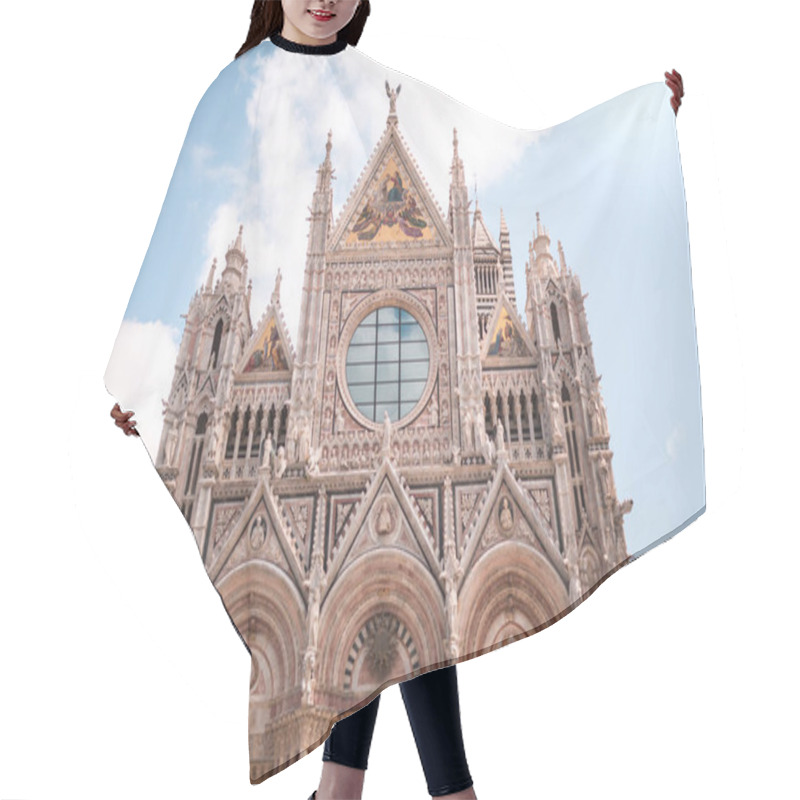 Personality  Italy Hair Cutting Cape