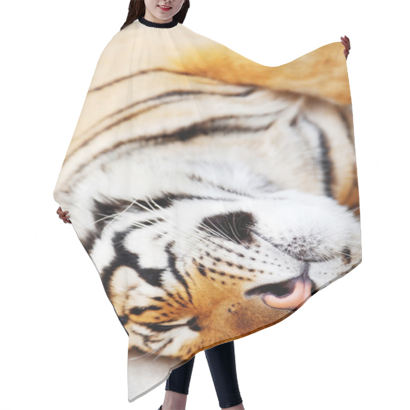 Personality  Sleeping Tiger Close Up Hair Cutting Cape