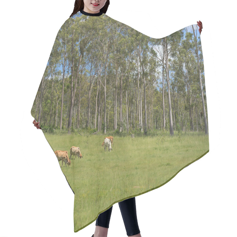 Personality  Australian Rural Bush Scene Hair Cutting Cape