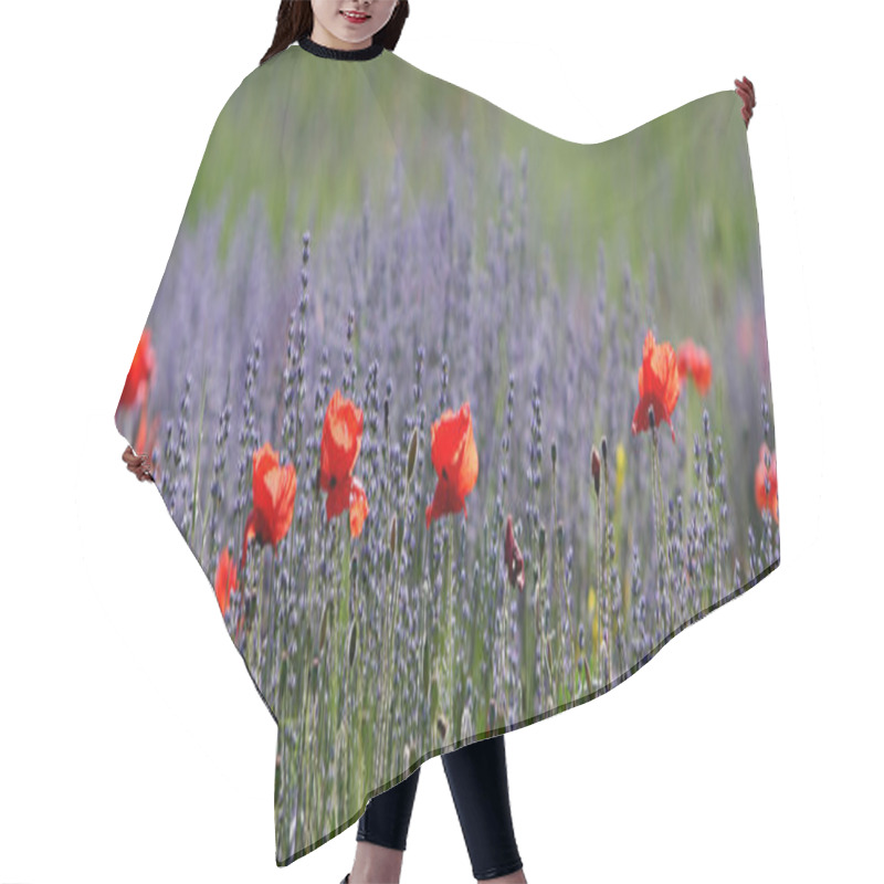 Personality  Meadow In Summer With Red Poppies Hair Cutting Cape