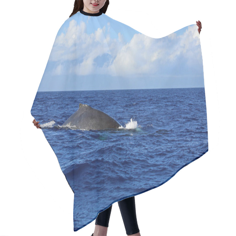 Personality  Whales Back In Blue Water - Humpback Whale, Maui, Hawaii Hair Cutting Cape