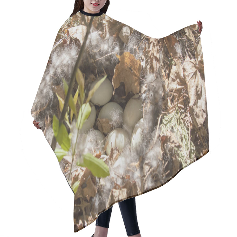 Personality  The Mallard Duck Nest With Eggs Hair Cutting Cape