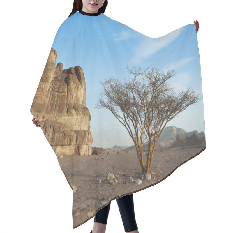 Personality  Desert Landscape. Hair Cutting Cape